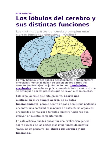 Neurociencias Pdf Hemisferio Cerebral Lóbulo Frontal