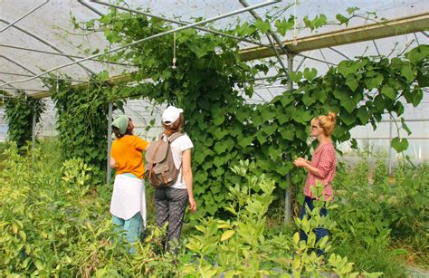 Un cycle de formations pour une pédagogie au service de l agroécologie