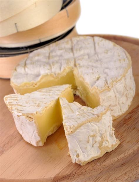 Camembert Cheese Stock Image Image Of Fresh Camembert 17904739