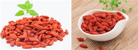 Gou Qi Zi, Gouqizi, Lycium Barbarum & Wolfberry For Sale - Native Chinese 