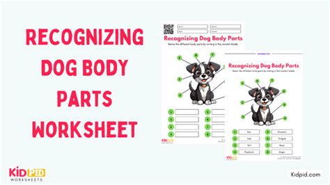 Dog Breed Picture Quiz Printable Pdf