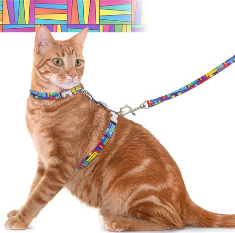 Pet Supplies Cat Harness And Leash Set For Walking Cat Harness