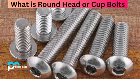 What Is Round Head Or Cup Bolts Uses Properties And Dimensions