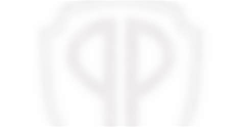 Música Crònica Made In America PERFECT PUSSY Say Yes To Love 2014