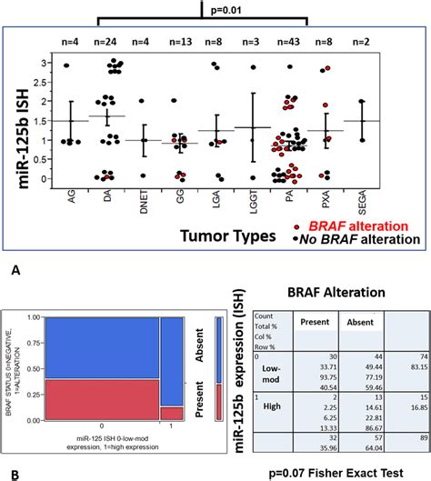 MiR 125b Expression Is Downregulated In Pilocytic Astrocytoma And