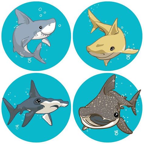 four different types of sharks in the ocean