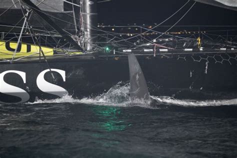 Trop Fatigu Alex Thomson Leader Des Imoca S Choue Milles De