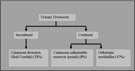 Diversion Ahead Imaging Appearance Of Urinary Diversions And