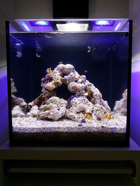 Aqu Rio Cubo C Sump Acqua Fish