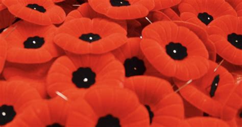 Remembrance Day Ceremonies Barrie Orillia Simcoe County