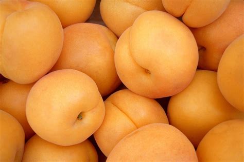 Albaricoque Somos Productores Grupo Frutas Antonio