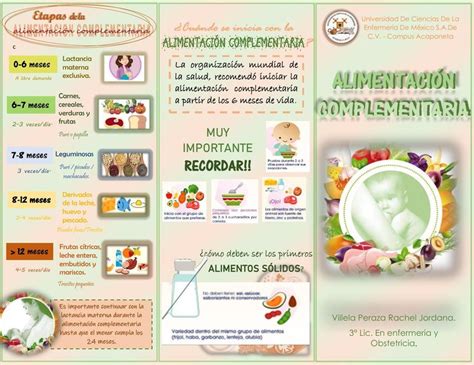 Alimentaci N Complementaria Rachel Villela Udocz