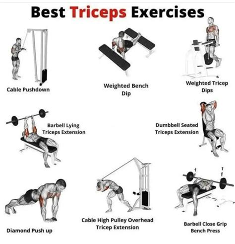 Best Triceps Exercises