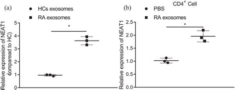 Increased Expression Of Neat1 In Serum Derived Exosomes Of Ra Patients