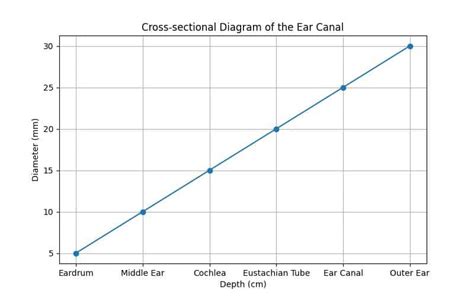 Understanding Inflammation in the Ear Canal: Symptoms and Solutions - CBD Oil for Inflammation