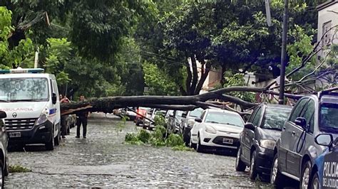 Temporal en el AMBA destrozos árboles caídos y cortes de luz tras la