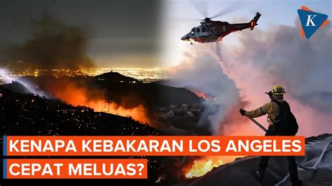 Kebakaran Los Angeles Hanguskan Hektare Lahan Mengapa Cepat