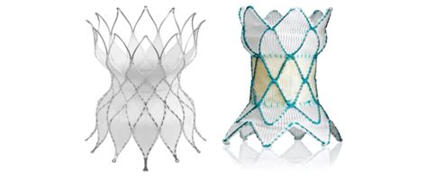 Percutaneous Pulmonary Valves For The Large Outflow Tract The Left Download Scientific Diagram