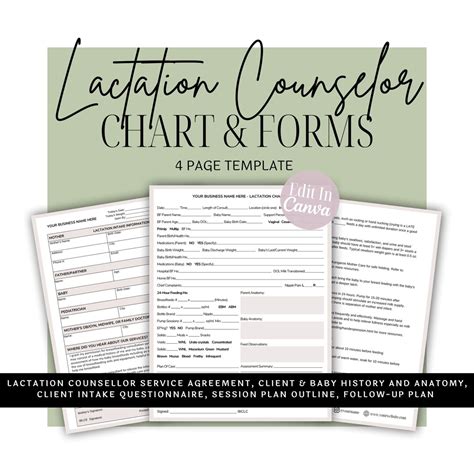 Lactation Counselor Chart And Client Intake Forms IBCLC Breastfeeding