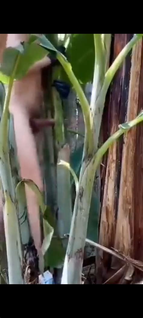 Banana Fuck Video ThisVid