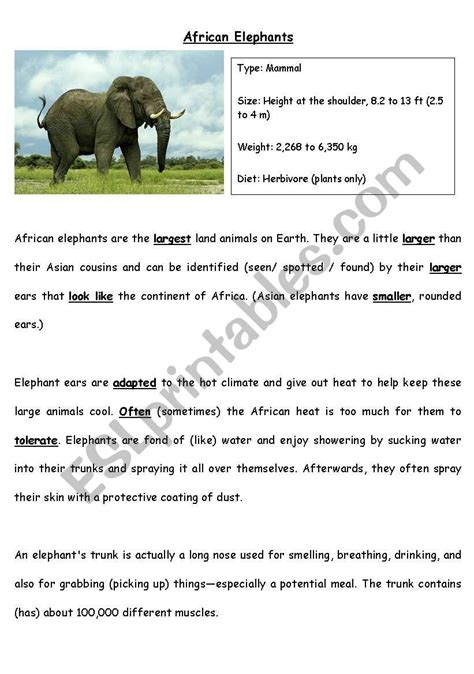 African Elephants ESL Worksheet By Christinetmason