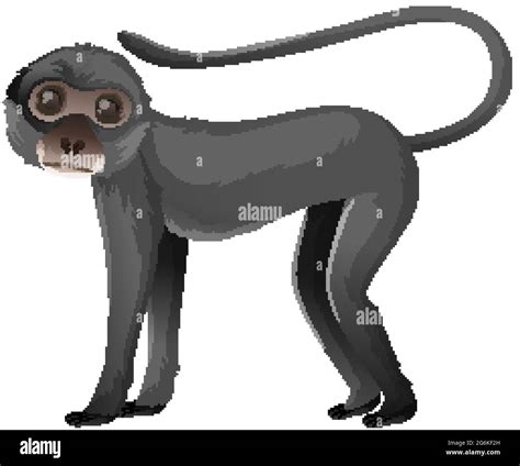 Spider Monkey Cartoon