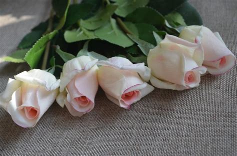 Light Blush Real Touch Rose Buds Diy Wedding Centerpieces Silk Bridal