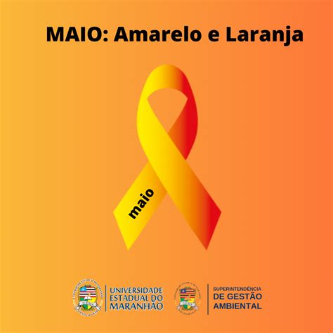 Aga Superintend Ncia De Gest O Ambiental Maio Amarelo E Laranja