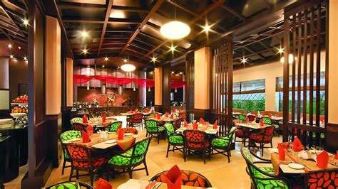 Collection of Restaurant PNG HD. | PlusPNG