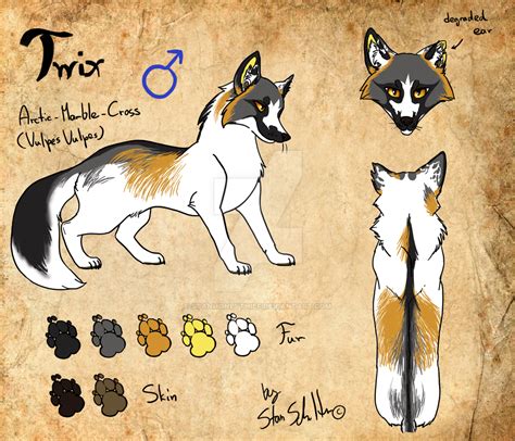 Twix The Marble Cross Fox Ref Sheet By Stanhoneythief On Deviantart