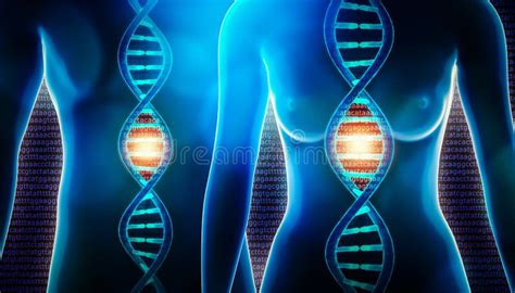 Hélice É Masculino Ou Feminino - Dna Humana Corda Dupla Hélice E Imagem De Reprodução De Corpo 3d ...