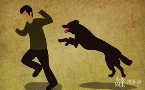 被猫狗抓伤要不要打狂犬疫苗 省疾控告诉你答案