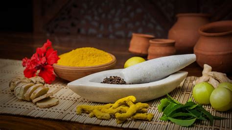 Role Of Ayurveda Medicines In Our Life Talk Geo Lifestyle Tips And