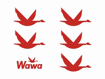 Wawa designs, themes, templates and downloadable graphic elements on Dribbble