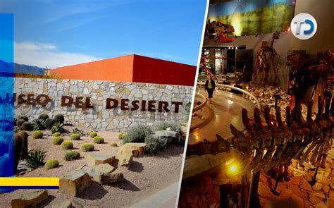 Museo Del Desierto En Saltillo Historia Y Curiosidades Telediario M Xico