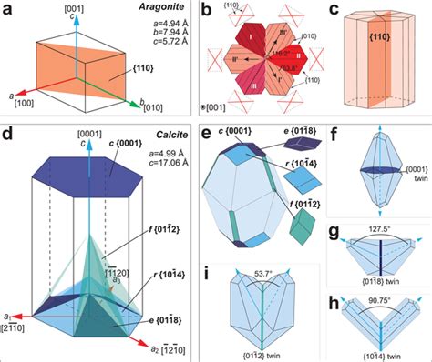 Twinning Law In Ac Aragonite And Di Calcite A Twinning Plane