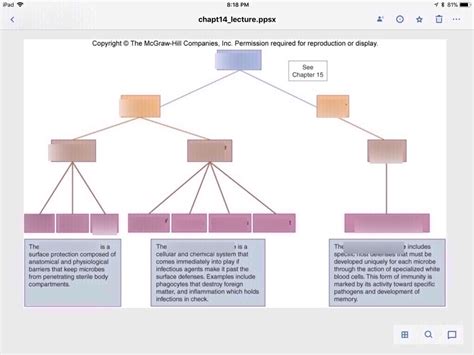 Major Host Defenses Diagram Quizlet