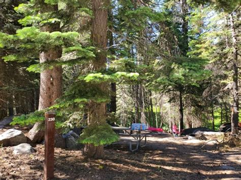 Crane Flat Campground Yosemite National Park Park Ranger John