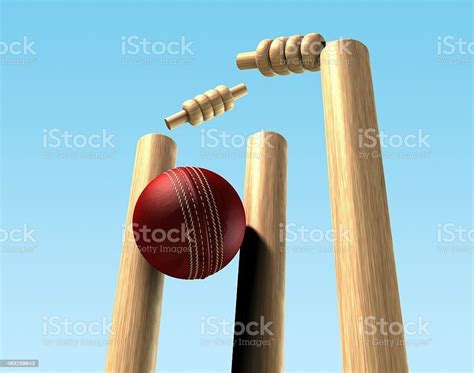 AaIM White Cricket Wicket Stumps, Wickets And Bell, Size: 2.5 Feet at ...