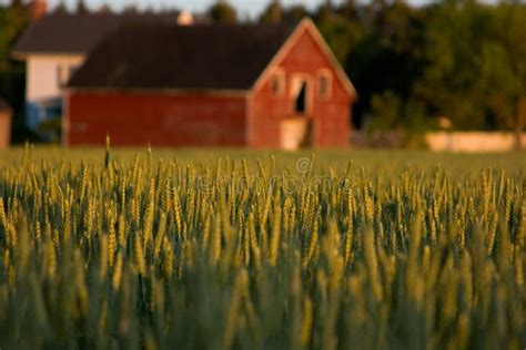 Old Red Country Barn Stock Image Image Of Classic Late 2677909