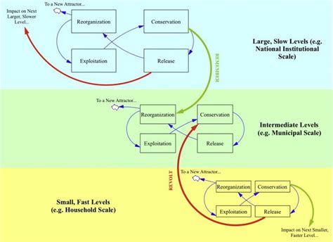 Complex Adaptive Systems Nested Sets Of Four Phase Adaptive Cycles