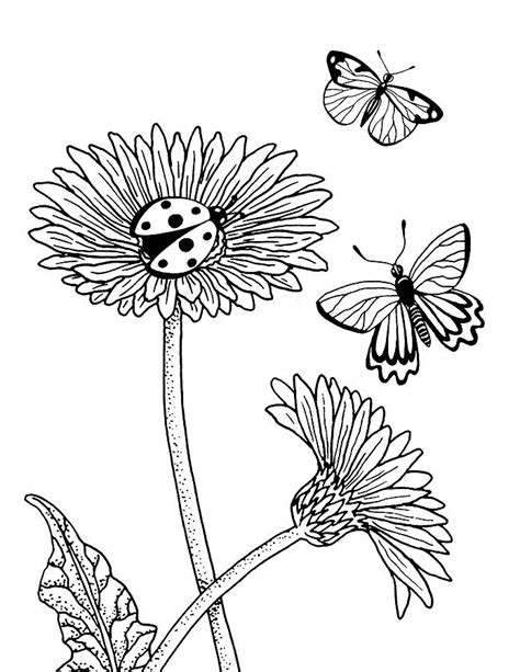 Gerbera Daisies Drawing Drawing by Irina Sztukowski - Fine Art America