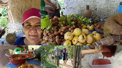 Nosso S Bado No S Tio Faxina No Galinheiro Almo O E Doce De Goiaba Ana