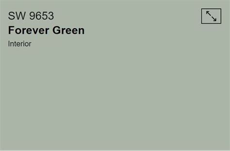 Sherwin Williams Forever Green Forever Green Sherwin Williams Paint