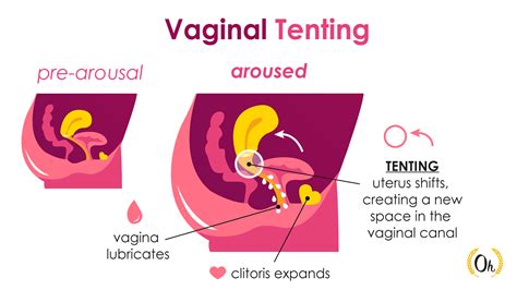 Vaginal Contractions And An Heavy Dripping Porn Pic The Best Porn Website