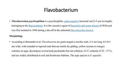 Non Fermentative Gram Negative Bacilli Ppt