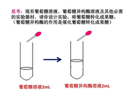 酵母细胞固定化word文档在线阅读与下载无忧文档