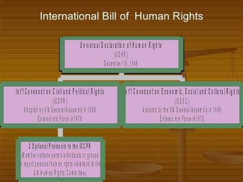 An Introduction To Human Rights