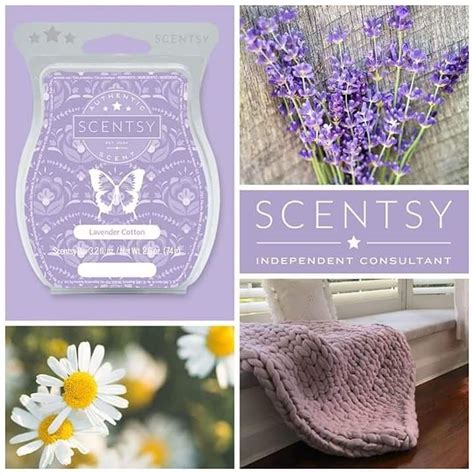 Scentsy Candles Scentsy Wax Bars Scentsy Scent Scentsy Fall Winter 2020 Scenty Scentsy