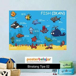 Jual Paket Binatang Poster Pendidikan Belajar Mengenal Hewan Untuk Anak